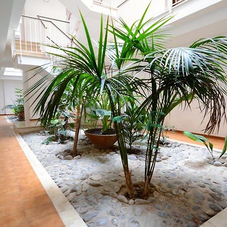 Jardins Del Mar 69 Apartman L'Estartit Kültér fotó
